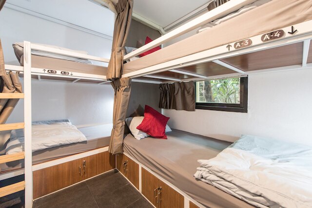 ハウス ホステル