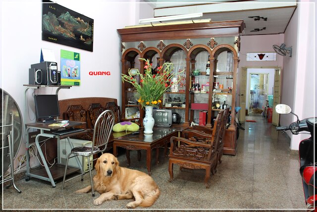 クァン サイゴン ホテル