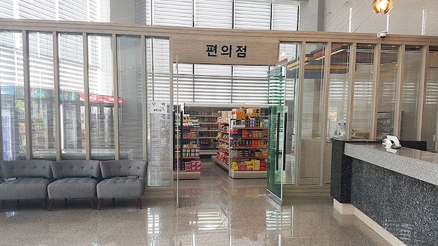 ヤンヤン インターナショナル エアポート ホテル