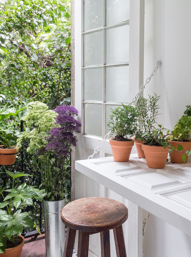 ヴィンテージハイグリッツバイザローカルウェイ