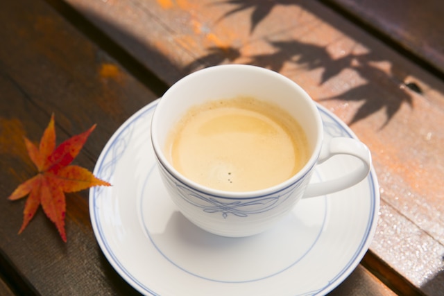 フォレストリゾート コニファーいわびつ