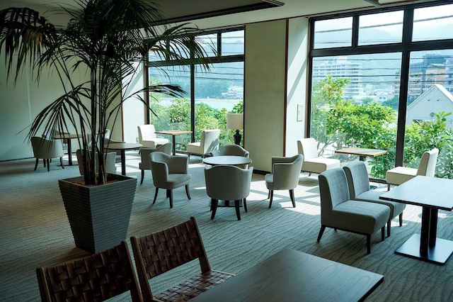 感動の海景色 新海花亭いずみ