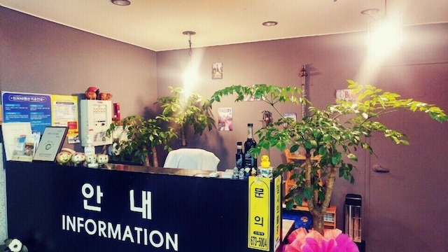 エルマー コンドテル