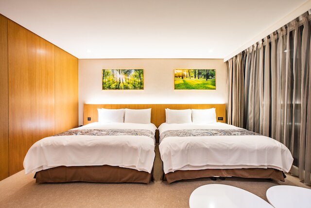 メガ ホテル (鉅陞嘉義亮點旅店)