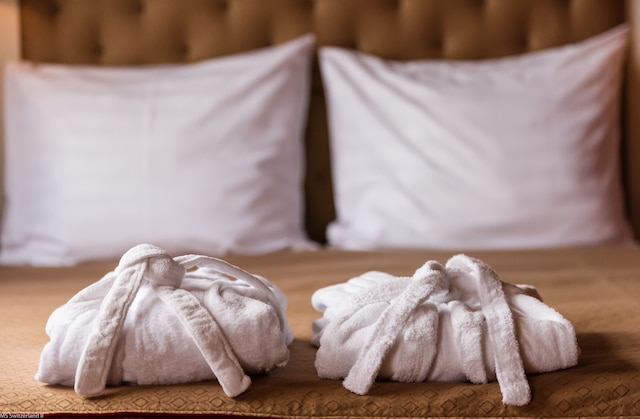 KNM MS スウィツァランド II - フランクフルト