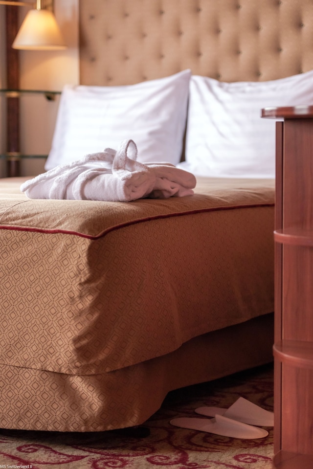 KNM MS スウィツァランド II - フランクフルト