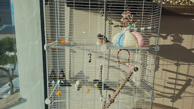 スカイタリー ペンション