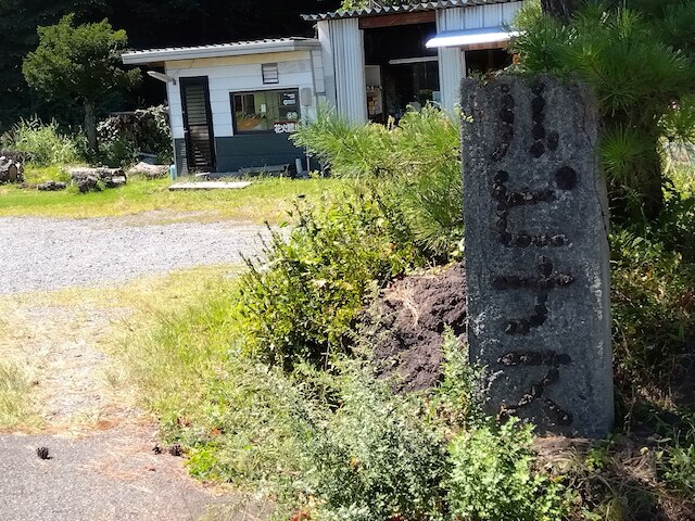 ルピナス河口湖