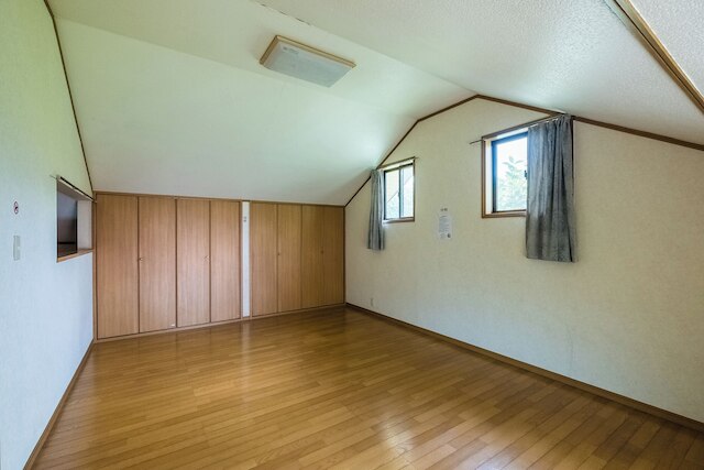 ルピナス河口湖