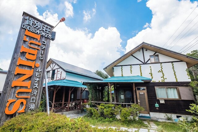 ルピナス河口湖