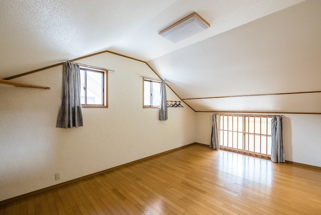 ルピナス河口湖