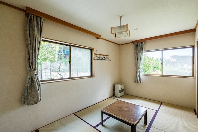 ルピナス河口湖