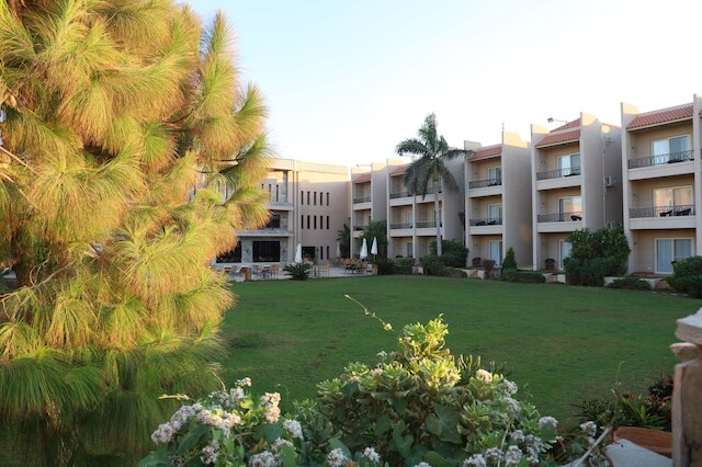 パナセア スイーツ ホテル