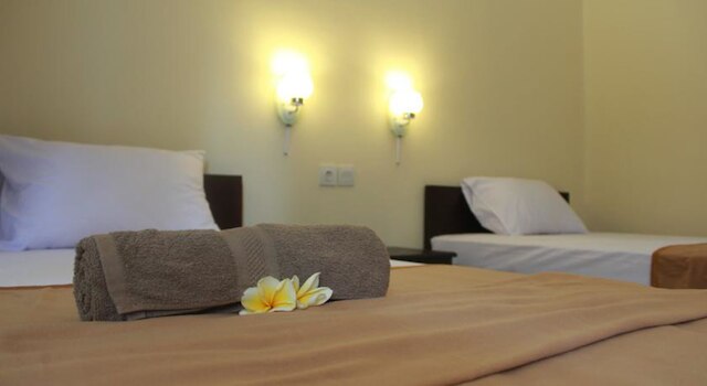 ジェニー バンカー ホームステイ