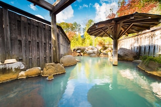 平湯 プリンス ホテル