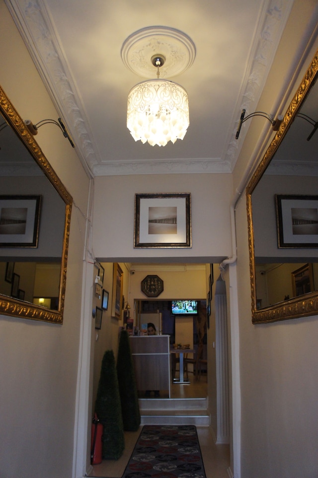 バルバ ロッサ レジデンス