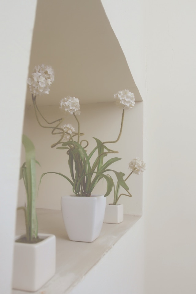 バンタル グリン トランス