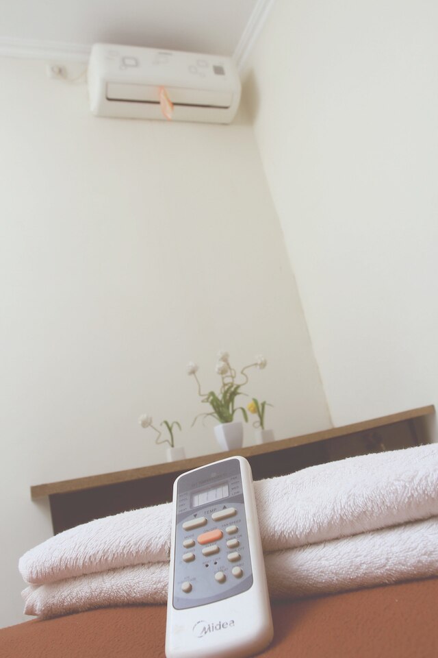 バンタル グリン トランス