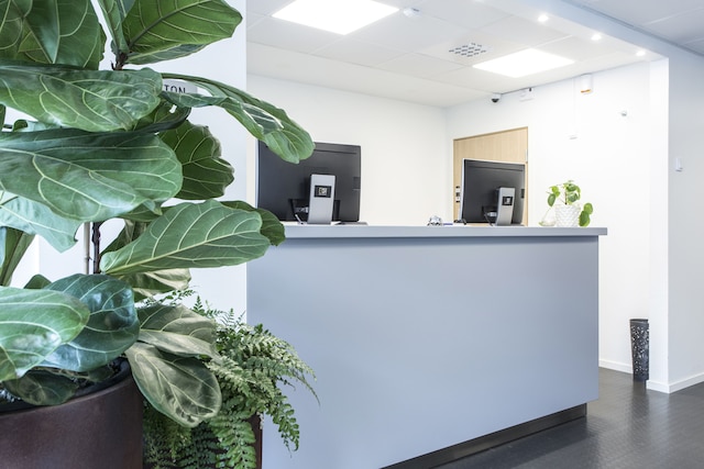 ビズ アパートメント ソルナ