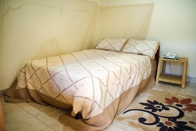 ホテル ゴリラズ ネスト エンテベ