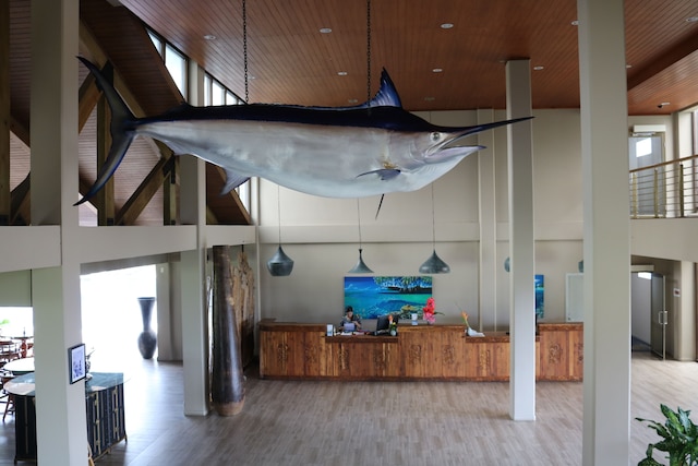 コーブ リゾート パラオ