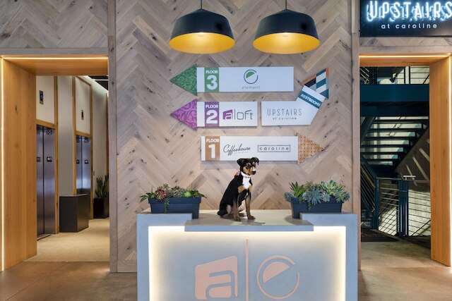 アロフト オースティン ダウンタウン