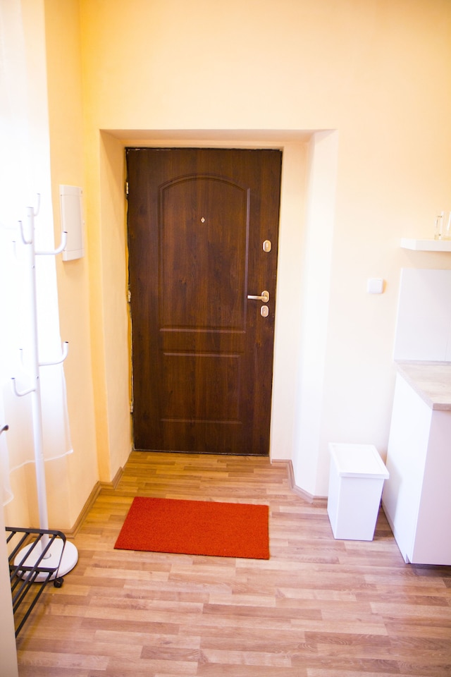 リディツカー アパートメンツ