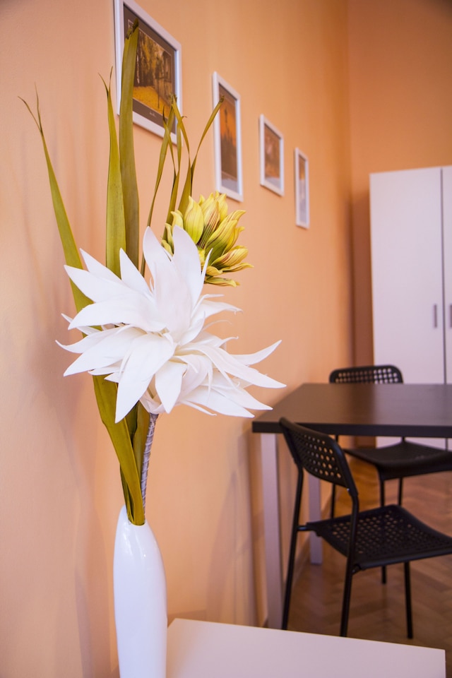 リディツカー アパートメンツ