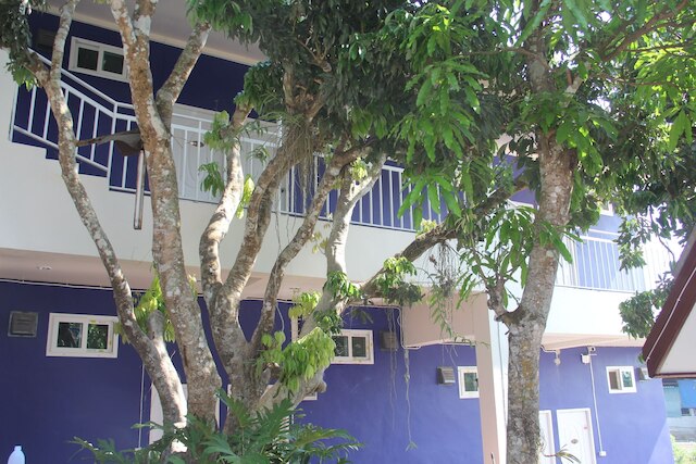 シン セイン ゲストハウス