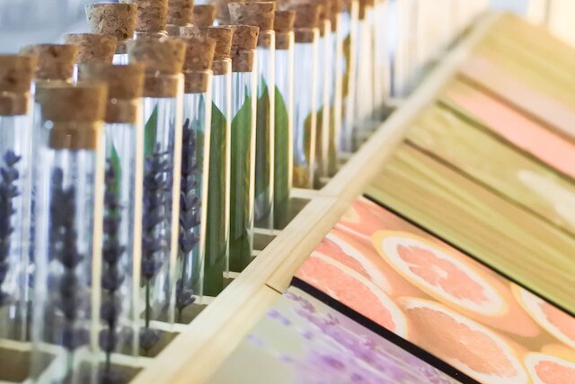 グリーン ホテル - ウェスト ディストリクト (綠宿行旅)