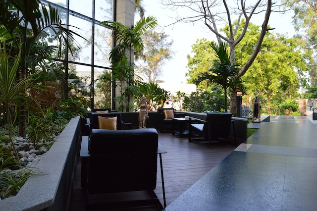 ウェルカムホテル バイ ITC ホテルズ ケンスズ パーム ビーチ ママラプラン