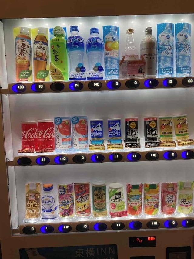 東横 INN 八潮駅前