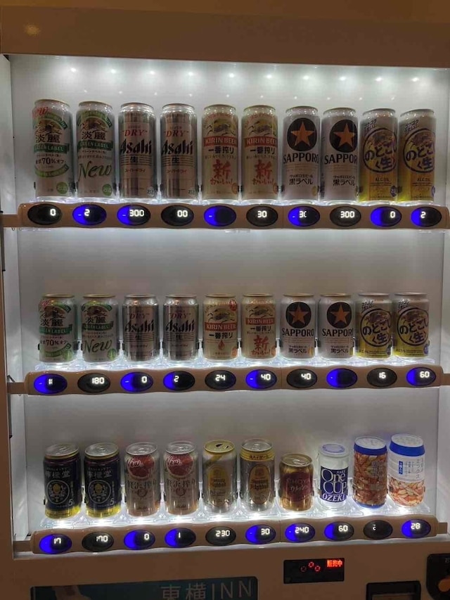 東横 INN 八潮駅前