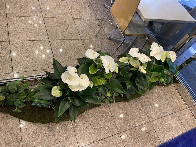 東横INN京都五条烏丸