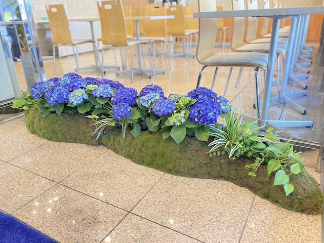 東横INN京都五条烏丸