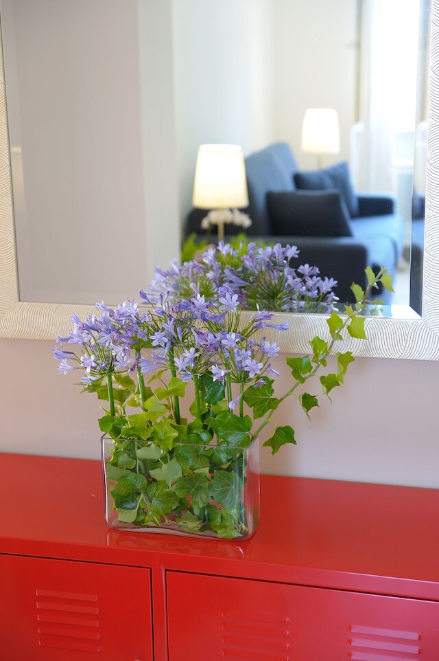 ラ ドルチェ ヴィータ レジデンス