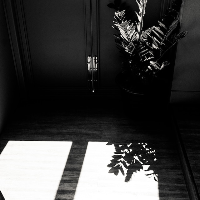 J ポシュテル チェンマイ