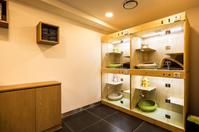 スリープ ウィズ ユア ペット オンリー - ザ パテル