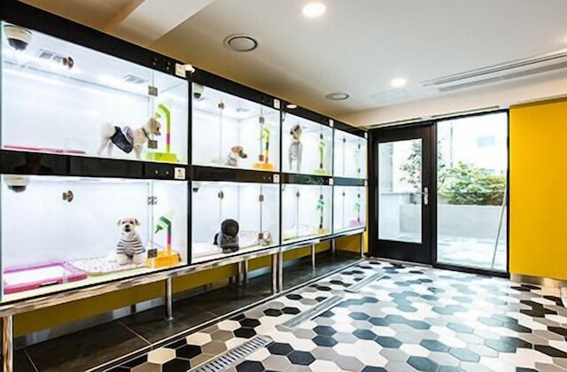 スリープ ウィズ ユア ペット オンリー - ザ パテル