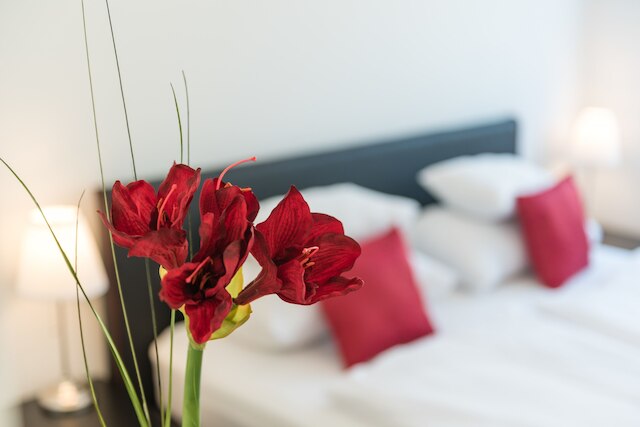 ドゥーシェル アパートメンツ ウィーン - ハウプトバーンホフ