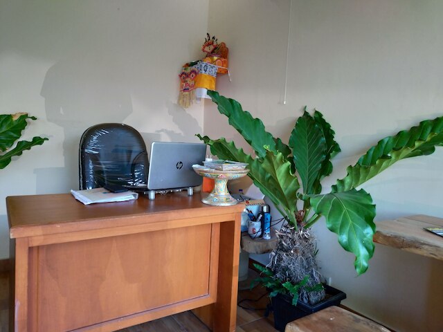 ベジ アユ ホームステイ