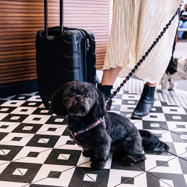 ル メリディアン デンバー ダウンタウン