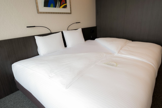 ナインツリーバイパルナスソウル明洞 2