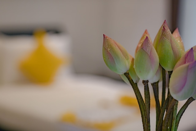 ル シャントー ブティック