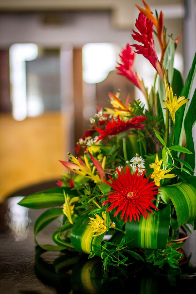 サイモンズ プレイス