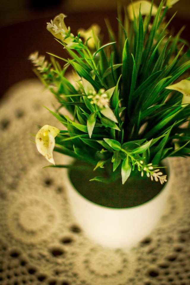 サイモンズ プレイス