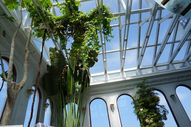 23.5 ブルー B & B