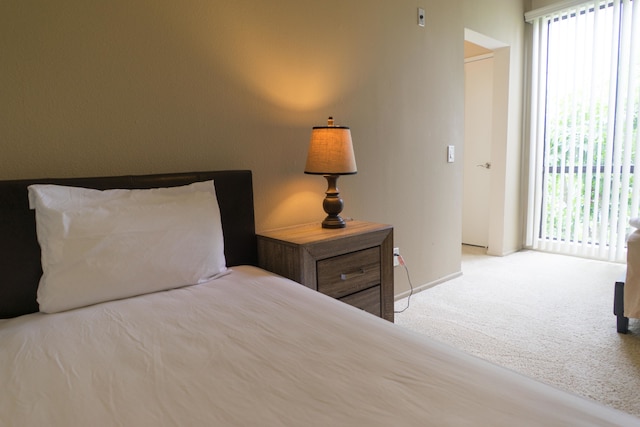 ザ ロチェスター