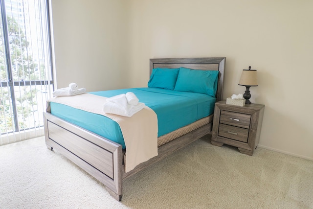 ザ ロチェスター