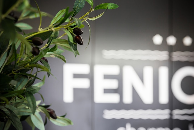 フェニシウス シャルム ホテル